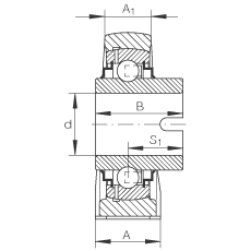 直立式軸承座單元 RASEL40-N, 鑄鐵軸承座，浮動(dòng)軸承，內(nèi)圈有驅(qū)動(dòng)槽，R 型密封